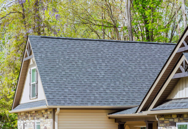 Best Storm Damage Roof Repair  in Sheffield, IA